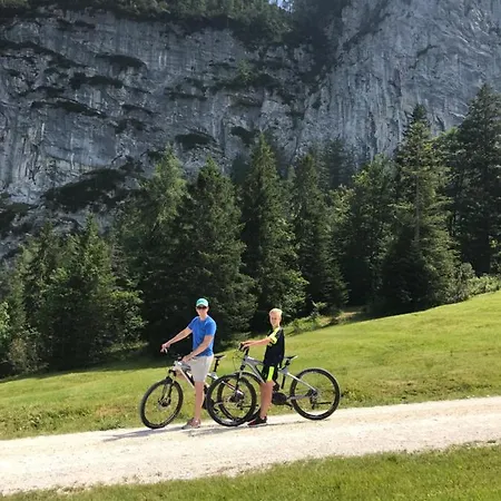 Daire Haus Bergsicht Lofer